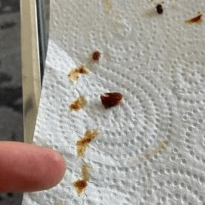 Embout du nettoyeur d’oreille avec cérumen